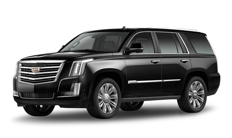 블랙 레이븐 익스테리어